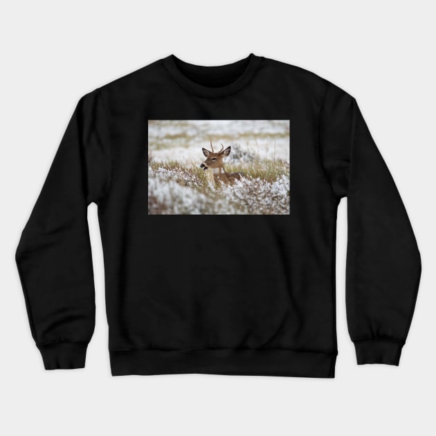 First Snow Crewneck Sweatshirt by gdb2